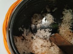 -饭怕鱼(阳光100店)