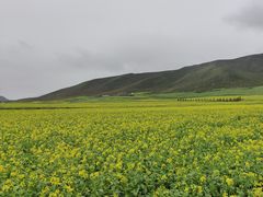 -扁都口生态休闲旅游区