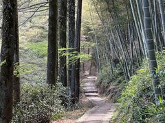 -莫干山风景区