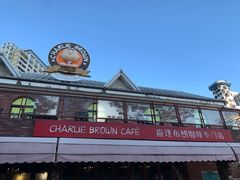 -史努比缤纷世界
