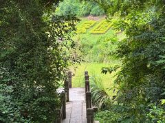 -深圳国际园林花卉博览园