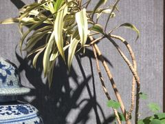 -陈熹公民族美食文化餐厅(中华广场店)