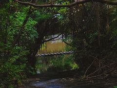 -燕晗山郊野公园