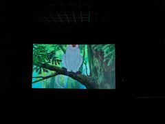 -奥斯卡升龙国际影城(RealD Cinema)