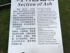 -苏州河梦清园环保主题公园