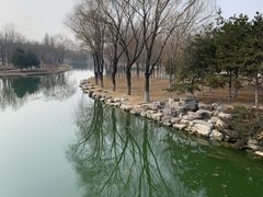 -大兴滨河森林公园