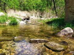 -碓臼峪自然风景区