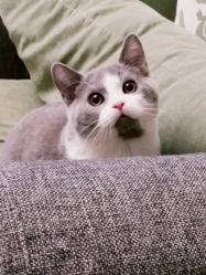 -幸运7纹身刺青Lucky7tattoo