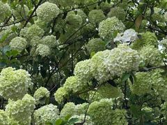 -大龙山(地铁站)