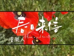 -花开海上生态园