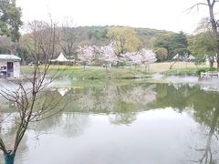-无锡梅园公园