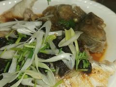 豉汁鲈鱼-日昌餐馆(亦庄店)