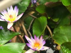 -成都杜甫草堂博物馆