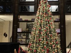 -行者书屋大堂吧 ·下午茶(南京圣和府邸酒店)