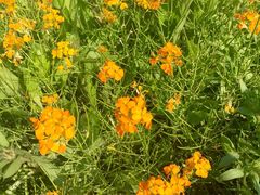 iphone_upload_pic-永定河休闲森林公园