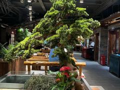 -丹江渔村(首都机场店)