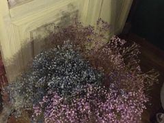 -花·fleur古董西餐厅(西城夜未央店)