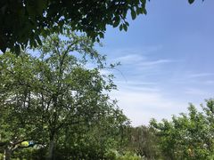 -秀丽东方