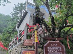 -塔云山