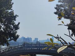 -南宁南湖公园