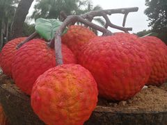 -珍藏湘约(科技园店)