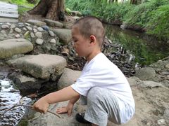 -苏州河梦清园环保主题公园