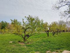 -汉长安城未央宫国家考古遗址公园