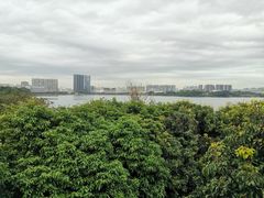 -立新湖公园