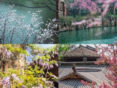 -乌镇景区