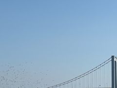 -星海湾跨海大桥