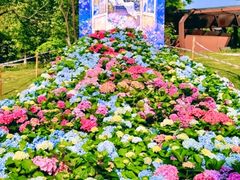 -武汉园博园(武汉自然博物馆)