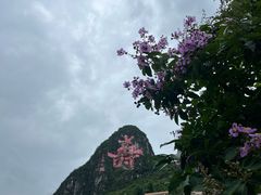 -长寿村