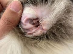 -comecome来吧宠物(奥克斯中心店)