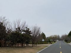 -同里国家湿地公园