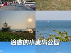-小麦岛公园