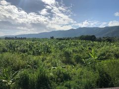 -太鲁阁公园