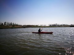 -春花秋色城市公园