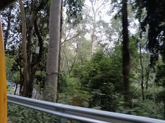 -白云山风景名胜区
