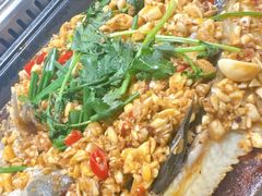 -黑猫馋纸包鱼(阳光店)