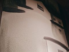 -東大方(湖州白鹭迎店)