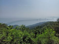 -星海湾跨海大桥