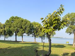 -漕湖湿地公园