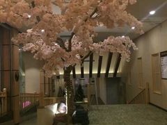 装饰的樱花树-大江户·温泉洗浴(浑南店)