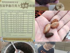 -呀路古热带植物园