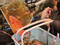 -东海怡品海鲜豆捞(舟宿夜江店)