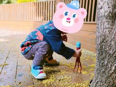 -蒙蒙狮蒙台梭利儿童之家