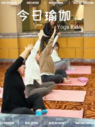 -臻康乃馨月子中心(集美店)