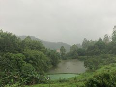 -天强农家菜馆