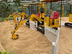 -南宫五洲植物乐园