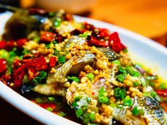 黑鲷-阿军排档·烧烤